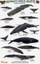 Hawaii Field Guides: Marine Mammals