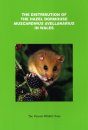 The Distribution of the Hazel Dormouse Muscardinus avellanarius in Wales