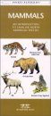 Mammals: An Introduction to Familiar North American Species