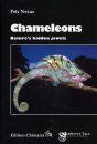 Chameleons: Nature's Hidden Jewels