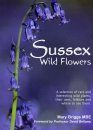 Sussex Wild Flowers