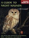 A Guide to Night Sounds