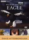 Eagle - DVD (Region 2 & 4)