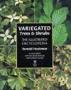 Variegated Trees and Shrubs