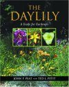 The Daylily
