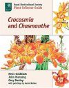 Crocosmia and Chasmanthe