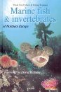 Marine Fish and Invertebrates of Northern Europe