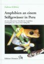 Amphibien an einem Stillgewässer in Peru: Mit einer Illustrierten Checklist der Amphibien und Reptilien des Unteren Río Llullapichis