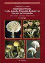 A Monograph of the Genera Hemimycena, Delicatula, Fayodia, Gamundia Myxomphalia, Resinomycena, Rickenella and Xeromphalina in Europe