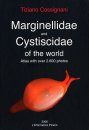Marginellidae and Cysticidae of the World