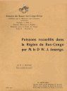 Poissons Recueillis dans la Région du Bas-Congo par M.le Dr W.J. Ansorge