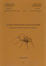 A Revision and Phylogenetic Analysis of the Spider Genus Phanotea Simon (Araneae, Lycosoidea)