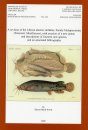 A Revision of the African Electric Catfishes, Family Malapteruridae (Teleostei, Siluriformes), With Erection of a New Genus and Description of Fourteen New Species and an Annotated Bibliography