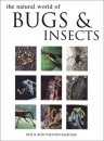 Natural World of Bugs and Insects, The