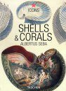 Shells and Corals