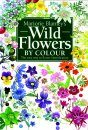 Wild Flowers by Colour