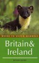 Where to Watch Mammals in Britain and Ireland
