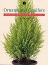 Identifying Ornamental Conifers