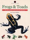 Identifying Frogs and Toads