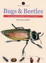Identifying Bugs and Beetles