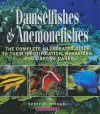 Damselfishes and Anemonefishes