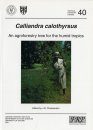 Calliandra calothyrsus