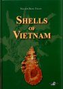 Shells of Vietnam