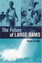 The Future of Large Dams