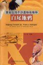 Xinjiang Ground Jay (Podoces biddulphi) [Chinese]