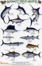 Hawaii Field Guides: Sport Fish [English / Hawaiian]