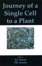 Journey of a Single Cell to Plant