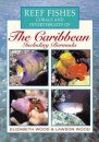 Reef Fishes Corals and Invertebrates of the Caribbean