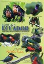 Birding Ecuador - Hummers, Howlers and Hissing Hoatzin (All Regions)
