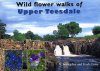 Wild Flower Walks of Upper Teesdale