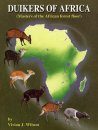 Duikers of Africa: Masters of the African Forest Floor
