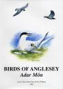 Birds of Anglesey