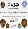 Eggs of British Birds