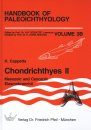 Handbook of Paleoichthyology, Volume 3B: Chondrichthyes II