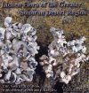 Lichen Flora of the Greater Sonoran Desert Region, Volume 2