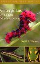 Caterpillars of Eastern North America