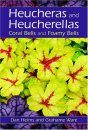 Heucheras and Heucherellas