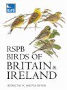 RSPB Birds of Britain and Ireland