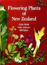 Flowering Plants of New Zealand