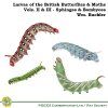 Larvae of the British Butterflies & Moths: Volumes 2 & 3