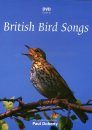 DVD Guide to British Bird Songs (All Regions)