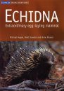 Echidna: Extraordinary Egg-laying Mammal