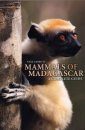 Mammals of Madagascar