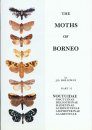 The Moths of Borneo, Part 12