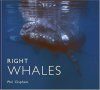 Right Whales: Natural History and Conservation