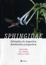 Sphingidae: Hawkmoths of Argentina / Esfíngidos de Argentina 